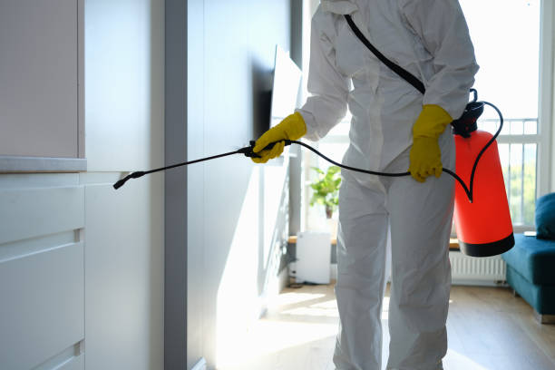Best Mold Testing and Removal  in Trevorton, PA