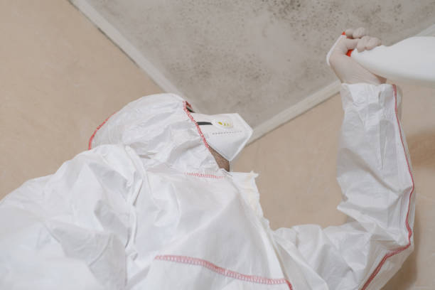 Best Commercial Mold Removal  in Trevorton, PA