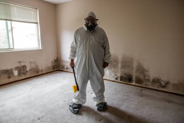 Office Mold Removal Services in Trevorton, PA